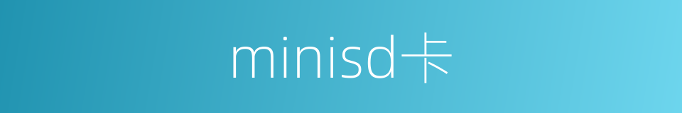minisd卡的同义词