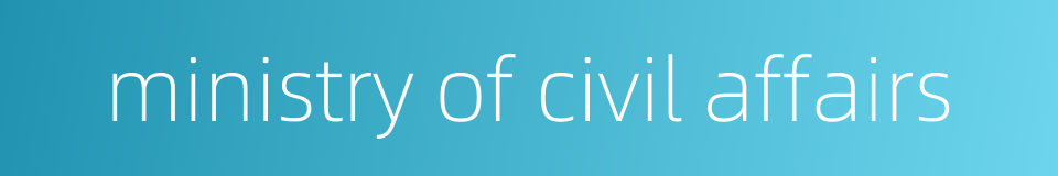 ministry of civil affairs的同义词