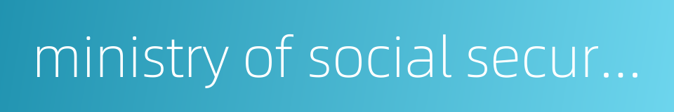 ministry of social security的同义词