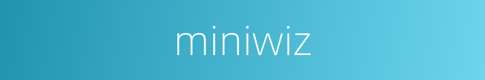 miniwiz的同义词