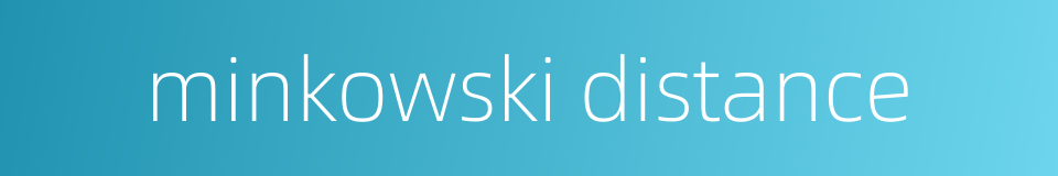 minkowski distance的同义词