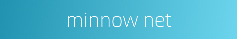 minnow net的同义词