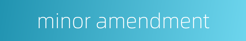 minor amendment的同义词