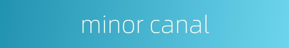 minor canal的同义词