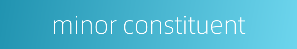 minor constituent的同义词