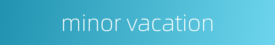 minor vacation的同义词