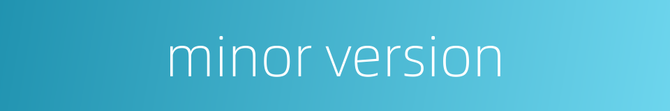 minor version的同义词