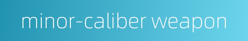 minor-caliber weapon的同义词