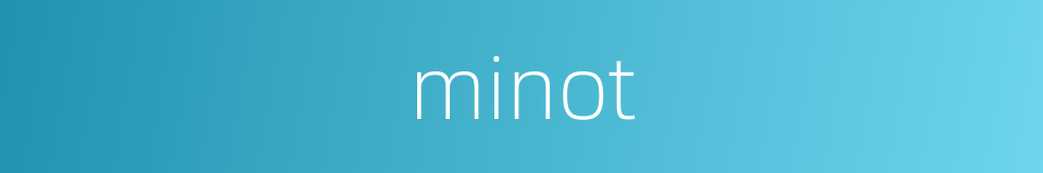 minot的同义词