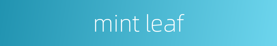 mint leaf的同义词