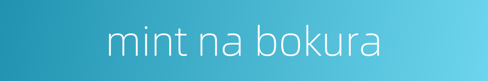 mint na bokura的同义词