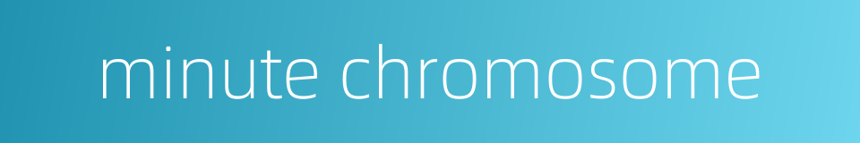 minute chromosome的同义词