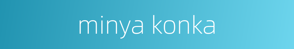 minya konka的同义词
