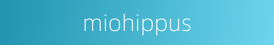 miohippus的同义词