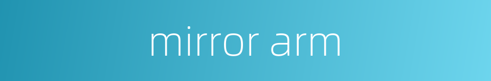 mirror arm的同义词