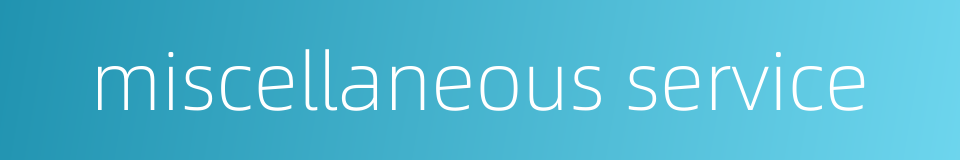 miscellaneous service的同义词