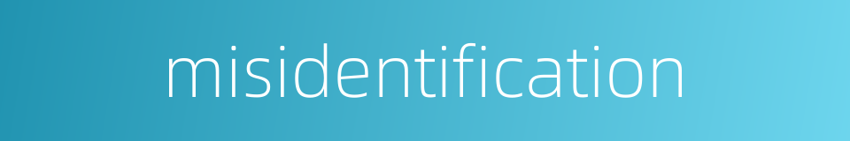 misidentification的同义词