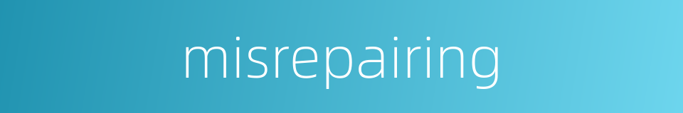 misrepairing的同义词