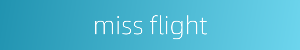 miss flight的同义词