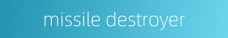 missile destroyer的同义词