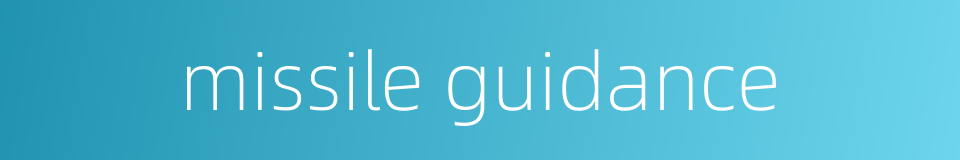 missile guidance的同义词