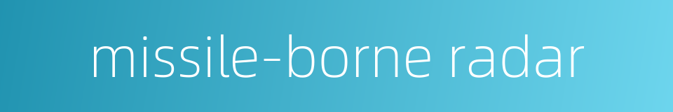 missile-borne radar的同义词