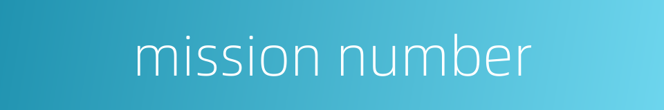 mission number的同义词