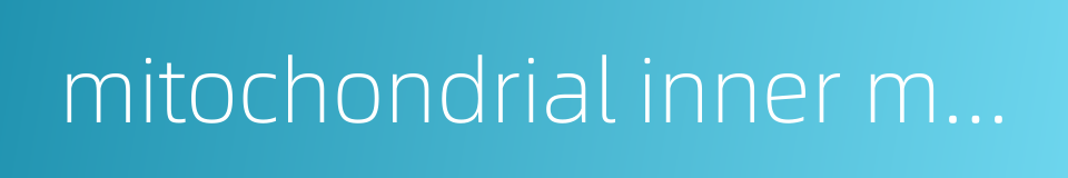 mitochondrial inner membrane的同义词