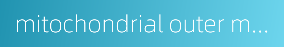 mitochondrial outer membrane的同义词