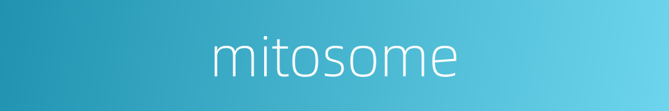 mitosome的同义词