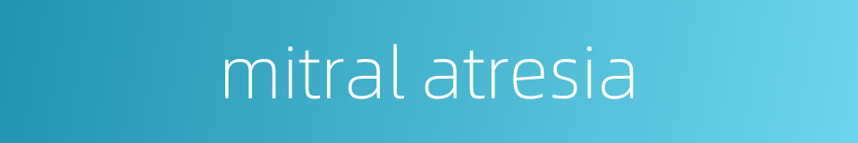 mitral atresia的同义词