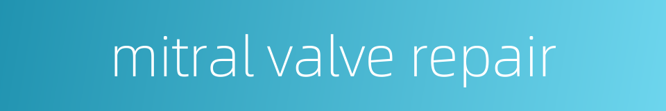 mitral valve repair的同义词