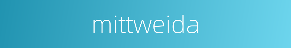 mittweida的同义词