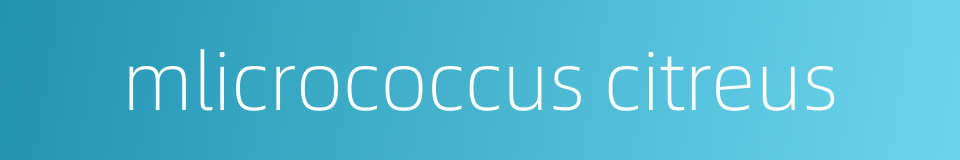 mlicrococcus citreus的同义词