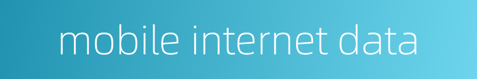 mobile internet data的同义词