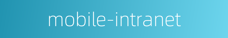 mobile-intranet的同义词