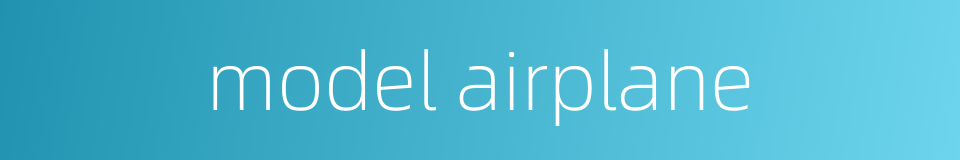 model airplane的同义词