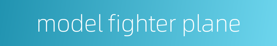 model fighter plane的同义词