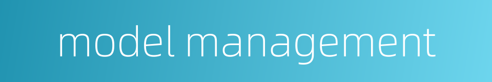 model management的同义词
