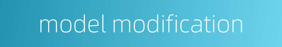 model modification的同义词