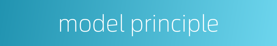 model principle的同义词