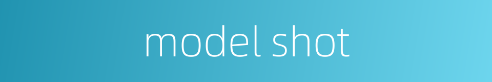 model shot的同义词