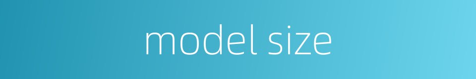 model size的同义词