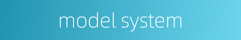 model system的同义词