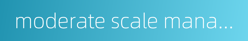 moderate scale management的同义词