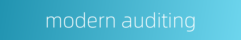 modern auditing的同义词