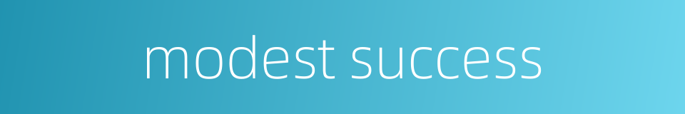 modest success的同义词