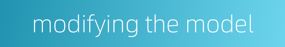 modifying the model的同义词