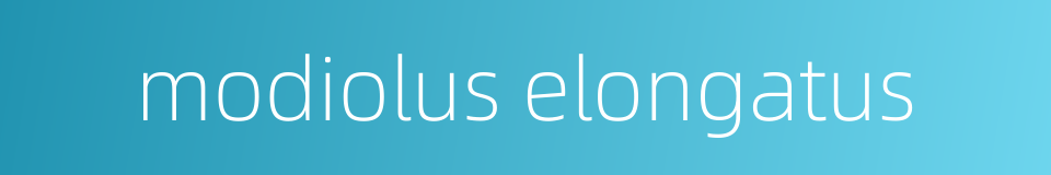modiolus elongatus的同义词