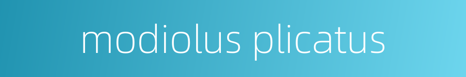 modiolus plicatus的同义词